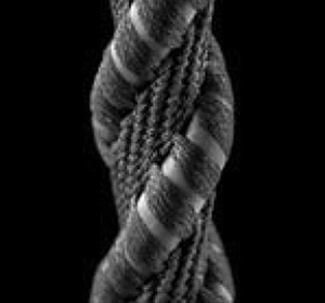 A8 30th Anniversary Edition Cable