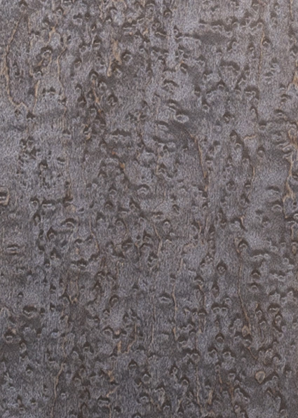 バーズアイメープル　グラファイト